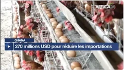 Ghana : 270 millions USD pour réduire les importations