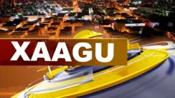 XAAGU 19H DU 15/08/2026