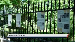 Híradó – 2026.06.24. – Szerda – Sopron TV