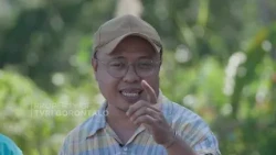 LET'S FARM - DULAMAYO SHALLOTS