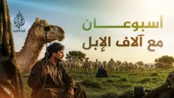 الخطلة.. رحلة الإبل التي تجمع قبائل ظفار