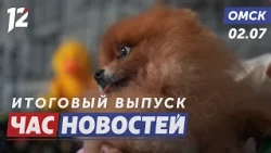 Rescued pets are happy / School renovations by September / Fadina in Krutinka. Omsk News