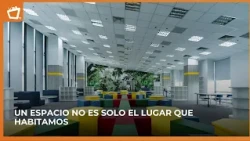 ¿Cómo influye nuestro entorno en la creatividad y la concentración?