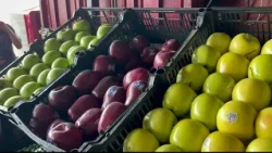 Seasonal Fruits in Villahermosa