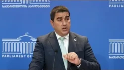 შხამიანი თესლიდან კეთილი ნაყოფი ვერ აღმოცენდება, ზუსტად ამ ნაყოფს ვუყურებთ ჩვენ - პაპუაშვილი