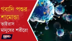 SHAMONDA VIRUS l ফ্রান্সে মানুষের শরীরে শামোন্ডা ভাইরাসের সংক্রমণের খবর ঘিরে বাড়ছে উদ্বেগ!