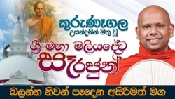 කුරුණෑගල උයන්දනින් මතු වූ  ශ්‍රී මහා මලියදේව සෑ රජුන් | Ven. Welimada Saddaseela Thero