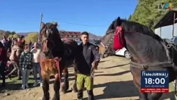10/27 NATIONAL HORSE PULLING CONTEST CAII ARGESULUI oct 27