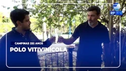 TÁ NO AR - Campinas anuncia criação de polo de produção de uva e vinho