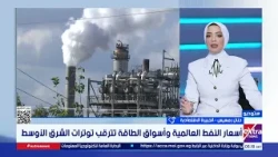 Economic Expert: Decline in Hormuz Shipping Traffic Aggravates Global Economic Crisis and Increas...