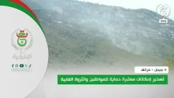 Jijel - Wildfires | Significant Resources Deployed to Protect Citizens and Forest Wealth