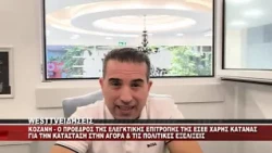 O ΠΡΟΕΔΡΟΣ ΤΗΣ ΕΛΕΓΚΤΙΚΗΣ ΕΠΙΤΡΟΠΗΣ ΤΗΣ ΕΣΕΕ ΧΑΡΗΣ ΚΑΤΑΝΑΣ ΓΙΑ ΤΗΝ ΚΑΤΑΣΤΑΣΤΗ ΣΤΗΝ ΑΓΟΡΑ