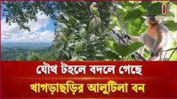 বাড়ল বন্যপ্রাণীর সংখ্যা; লাগানো হচ্ছে দেশীয় গাছ ও বাঁশ | Khagrachari Forest | Independent TV
