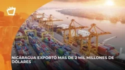EXPORTS