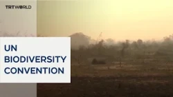 COP17 begins in Armenia with 2030 targets unlikely to be met
