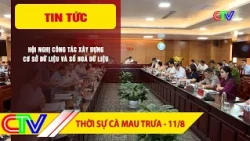 CA MAU NEWS NOON 08/11/2026 | CONFERENCE ON DATABASE DEVELOPMENT AND DATA DIGITIZATION