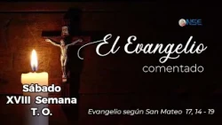 August 8th Gospel Commentary 📖🕊️