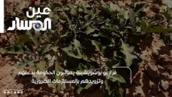 مزارعو بوشويشينة يطالبون الحكومة بدعمهم وتزويدهم بالمستلزمات الضرورية