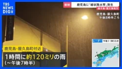 "Erratic typhoon" brings linear precipitation zone to Kagoshima; tree falls during reporting in M...