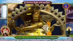 PROMO || SRI NATARAJA SWAMY ABHISHEKAM || KAPILATHEERTHAM || SVBC TTD