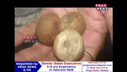 নদী পথেৰে ভাৰতলৈ বাংলাদেশৰ চুপাৰি