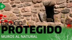 Protected Space | Dry Stone Walls