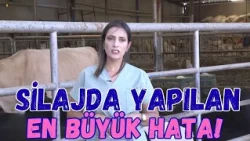 The Biggest Mistake Made in Silage!