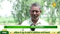 Which Vegetables to Plant in September? | DD Kisan | September 11, 2026