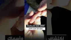 اكتشاف بيئي نادر.. كهف مائي وأسماك عمياء في صحراء الأنبار