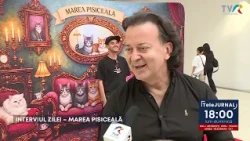 INTERVIEW OF THE DAY – THE GREAT CAT EXTRAVAGANZA