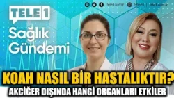 What is COPD and which organs does it affect besides the lungs? Assoc. Prof. Dr. Pınar Atagün exp...