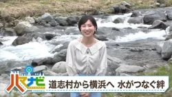 ハマナビ　2026年7月4日放送　道志村から横浜へ 水がつなぐ絆