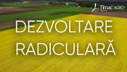 Agriculture Report with Ovidiu Ghinea P3 06/29/2026