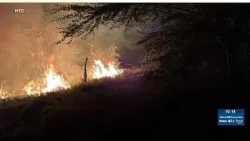 Half-acre wildland fire near Kuihelani Hwy contained by firefighters