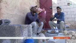 Men Working Under the Scorching Sun: Professional Challenges in Extreme Heat