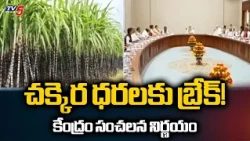 Centre Cracks Down on Sugar Stocks.. Central Government New Rules On Sugar Stocks | TV5 News