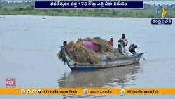 ధవళేశ్వరం వద్ద 175 గేట్లు ఎత్తివేత | గోదావరి వరదతో గ్రామాలకు రాకపోకలు బంద్