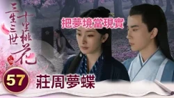 莊周夢蝶！既然夢裡有愛人在身旁 又何必分清是夢境還是現實呢？【三生三世十里桃花】精華 EP57-8 楊冪、趙又廷、迪麗熱巴、高偉光、張智堯 @ctvdrama_classic
