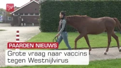 Grote vraag bij dierenartsen naar vaccins tegen Westnijlvirus bij paarden