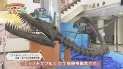【しまねっこの宅配便X】#14 海竜大進化～恐竜時代の蒼き海へ～