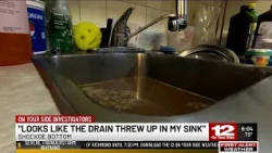 "Looks like the drain threw up in my sink"