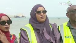 Djibouti : 2,5 millions de dollars pour protéger le littoral