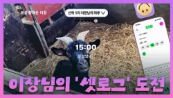 농촌 이장님은 하루 종일 뭐 하실까?🌾 대구 경북 농촌 이장님의 셋로그 #대구 #tbc #대구방송#shorts  #setlog