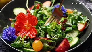 Quick Summer Recipes: Light, Fresh, and Full of Flavor