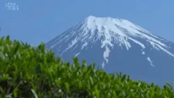 ～茶の芽にうかぶ～