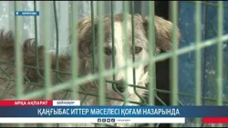 Ауыл шаруашылық және жануарлар мәселесі қаралды