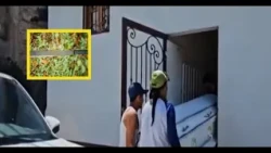 Young man murders his 70-year-old grandmother with a machete in Matagalpa