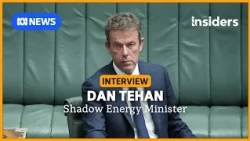 Shadow Energy Minister Dan Tehan on the idea of a Liberal-One Nation coalition | Insiders | ABC NEWS