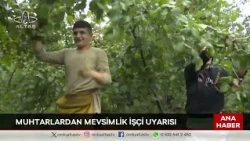 Ordu Altaş TV Main News | August 10, 2026