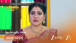Karthigai Deepam | கோவிலில் கார்த்திக் - ரேவதி ரகசிய பூஜை!